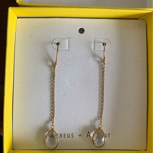 Crystal Drop Earrings